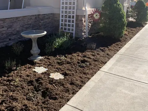 Planting bed prepped with fresh soil and new shrubs along a concrete walk