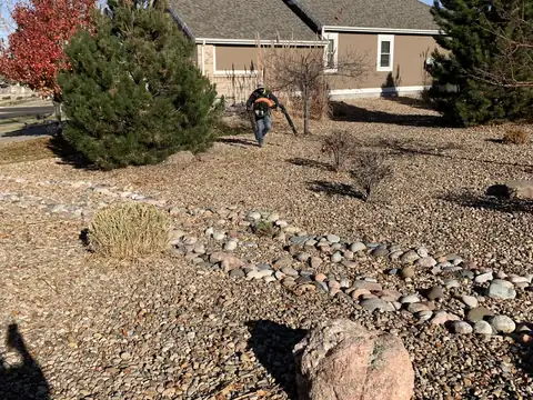 Xeriscape front yard with rock, a large boulder and evergreen shrubs