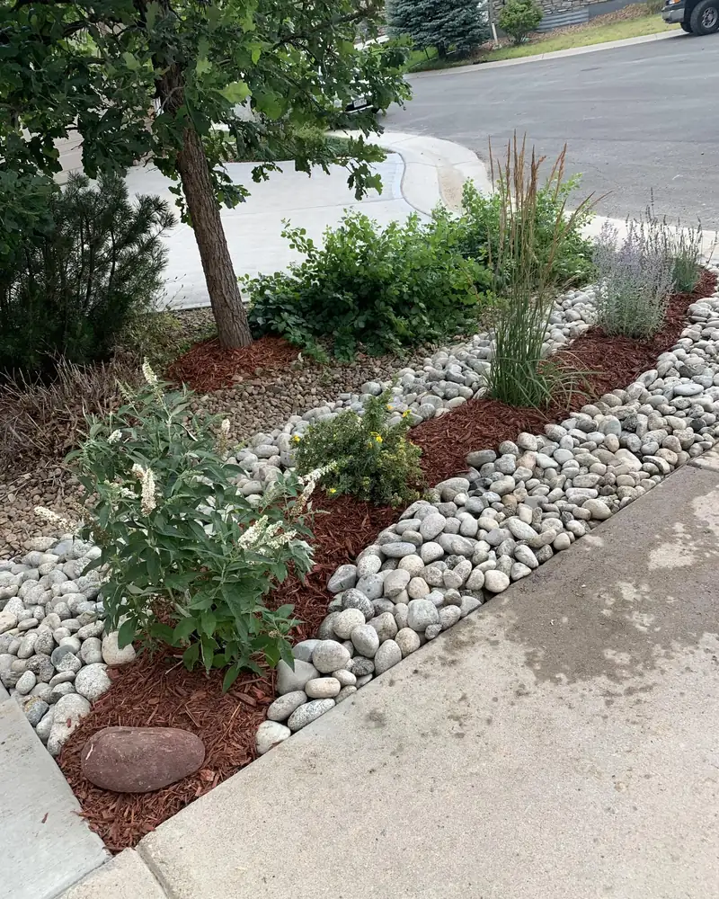Curving bed of white river rock and red mulch with new shrubs and grasses along a sidewalk