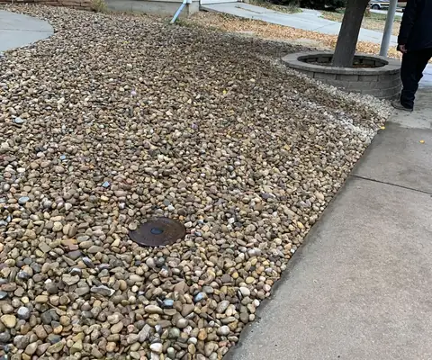 River rock front yard with a raised tree ring under a yellow fall tree next to the sidewalk